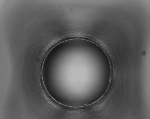 X0000089950625200707061121