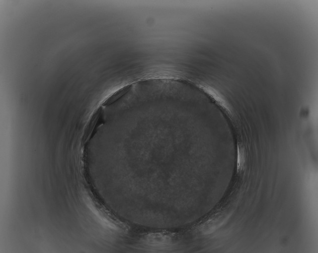 X0000089950627200707061121