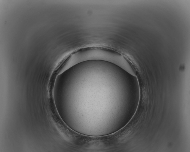 X0000089950628200707061121