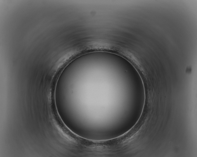 X0000089950629200707061121