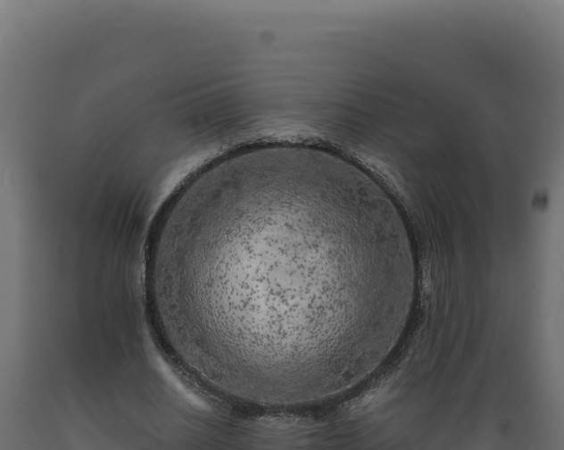X0000089950630200707061121
