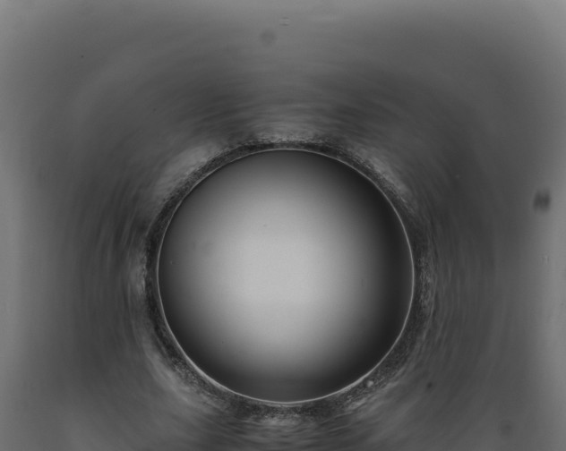 X0000089950631200707061121