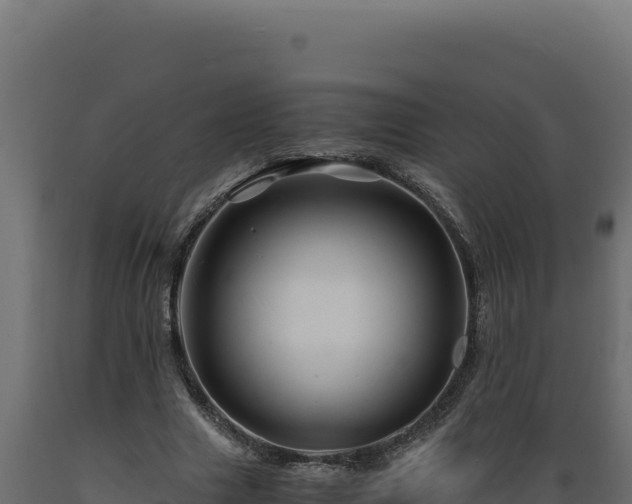 X0000089950633200707061121
