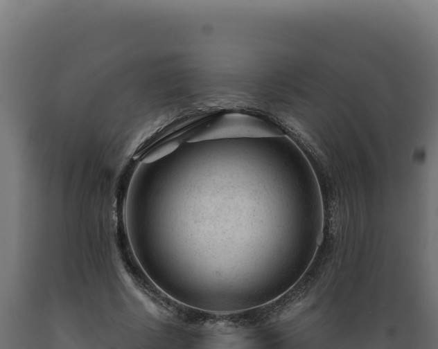 X0000089950634200707061121