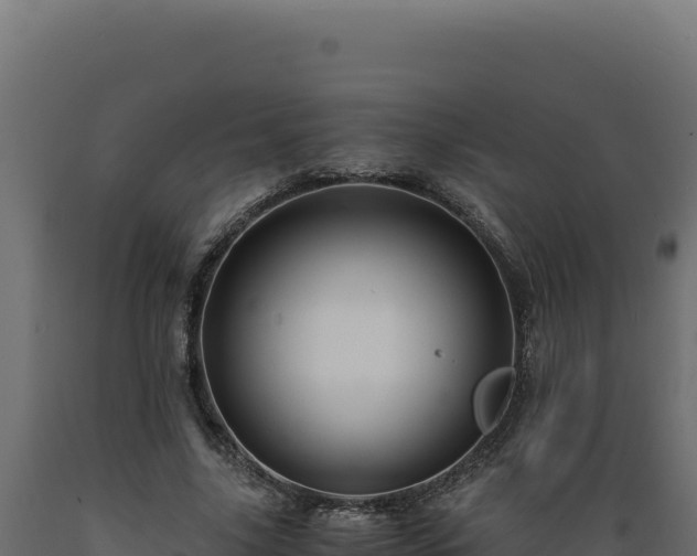 X0000089950635200707061121