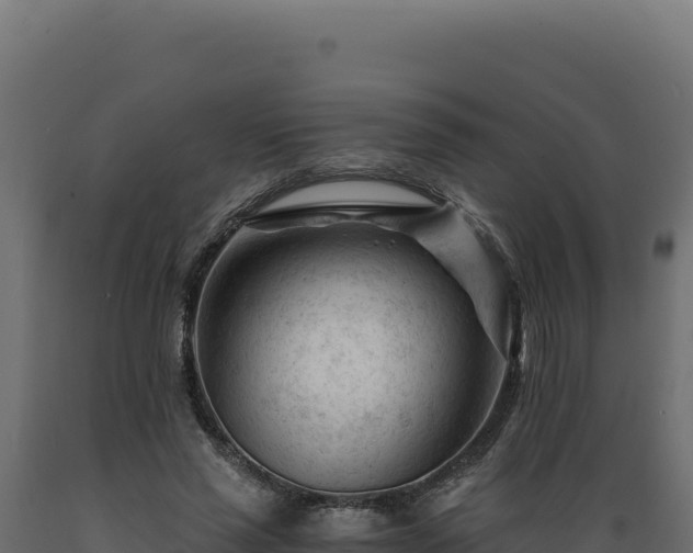 X0000089950637200707061121
