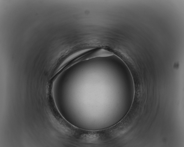X0000089950639200707061121
