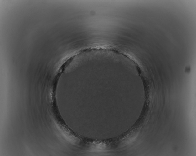 X0000089950640200707061121