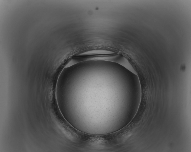 X0000089950642200707061121