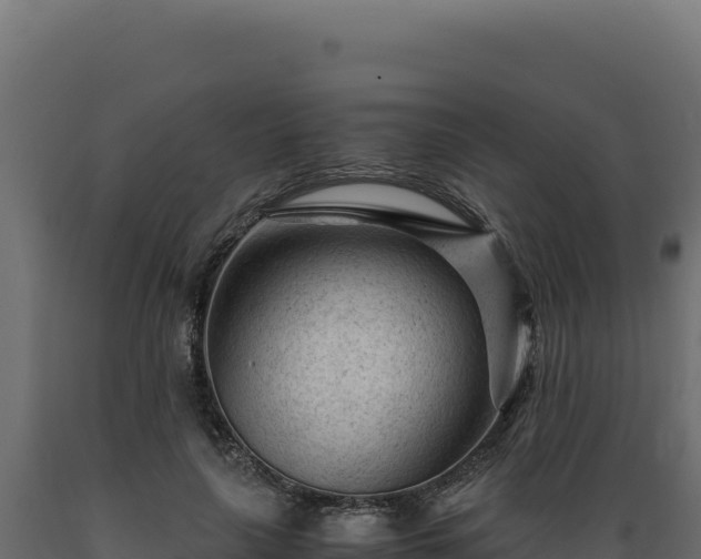 X0000089950643200707061121