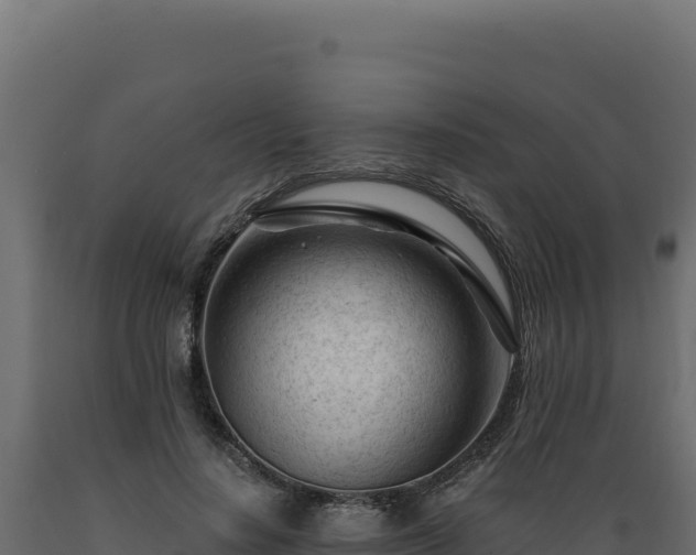 X0000089950644200707061121