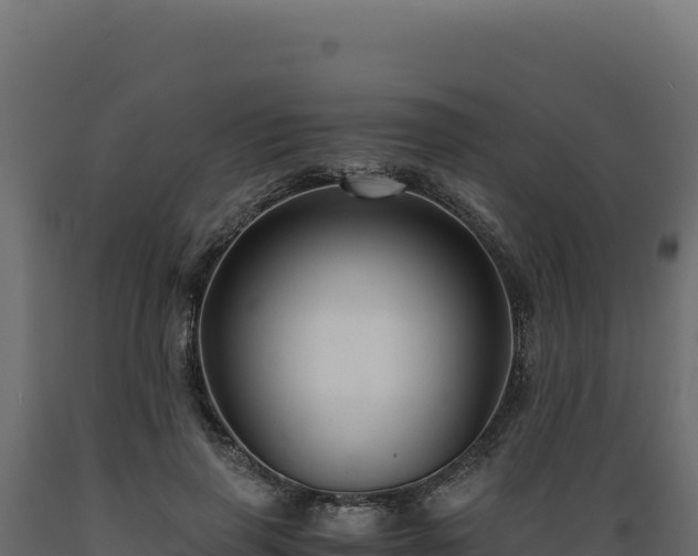 X0000089950645200707061121