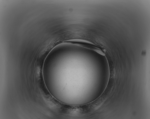 X0000089950646200707061121