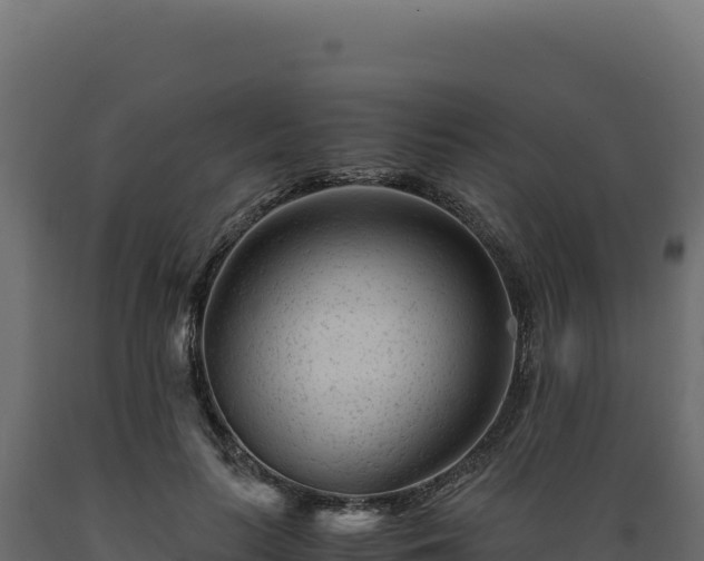 X0000089950647200707061121