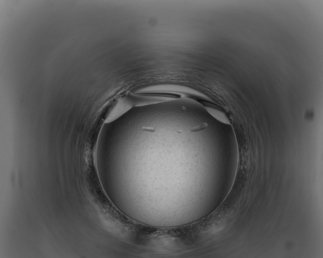 X0000089950648200707061121