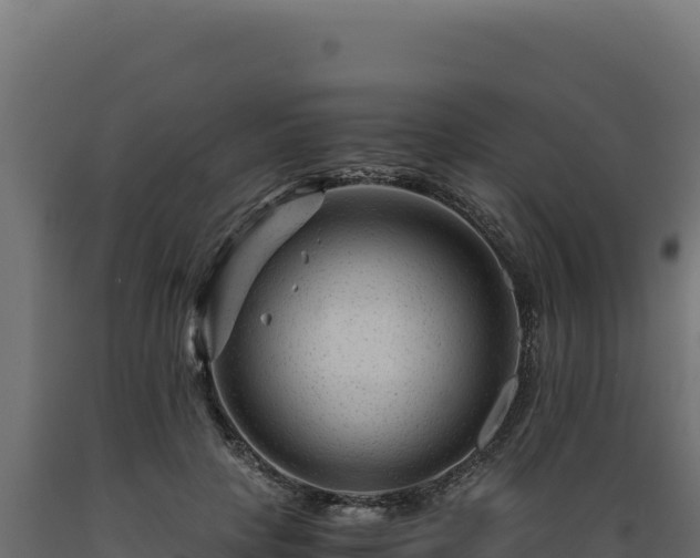 X0000089950649200707061121