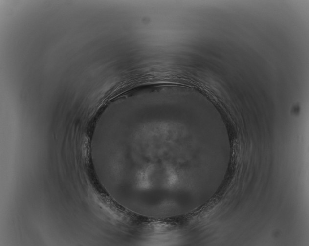 X0000089950650200707061121