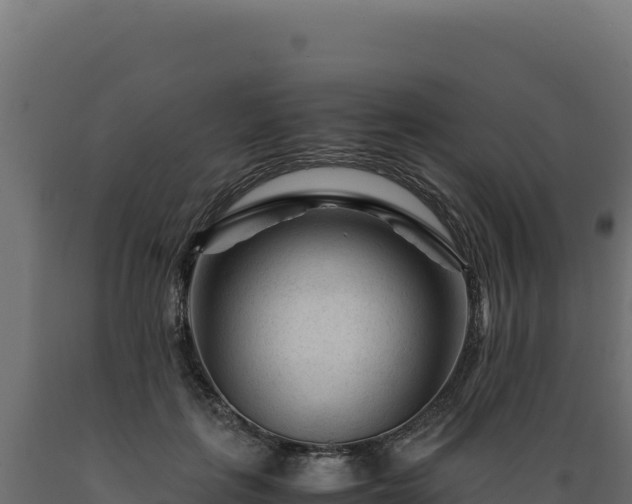X0000089950651200707061121