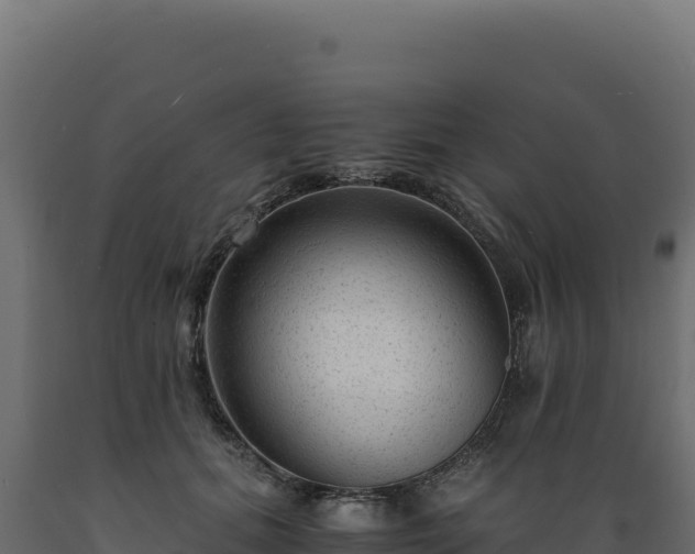X0000089950655200707061121