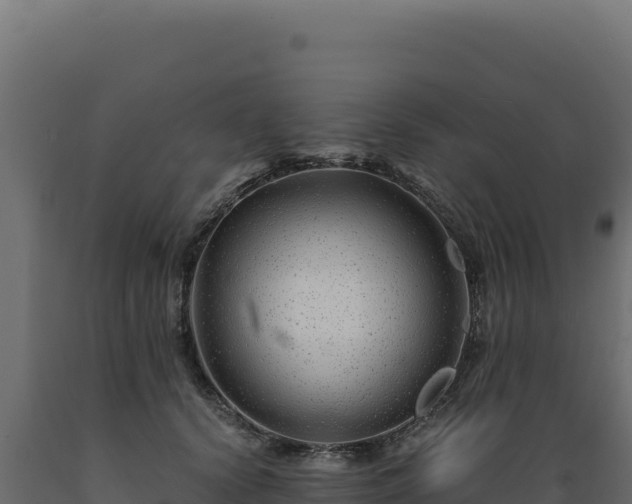 X0000089950656200707061121