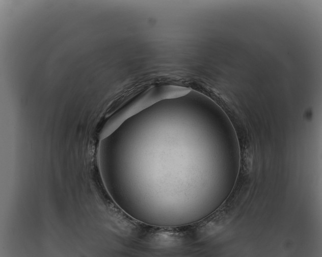 X0000089950657200707061121
