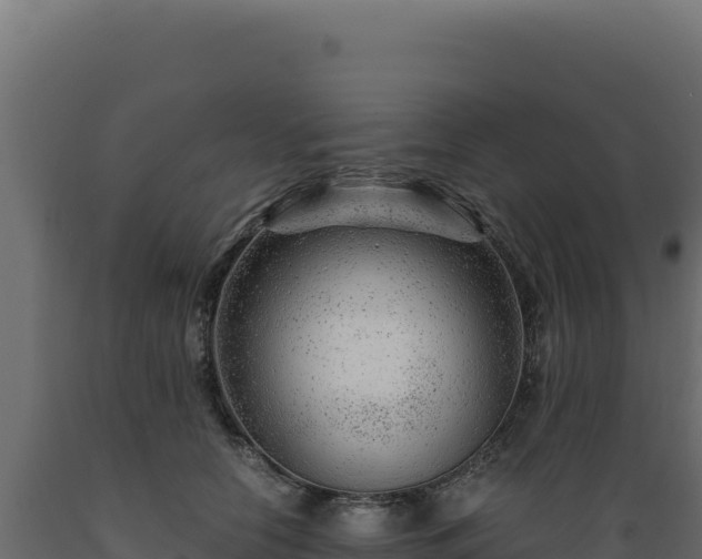 X0000089950658200707061121