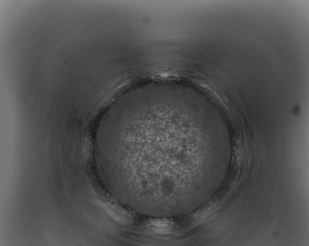 X0000089950659200707061121