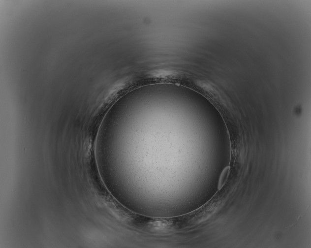 X0000089950660200707061121