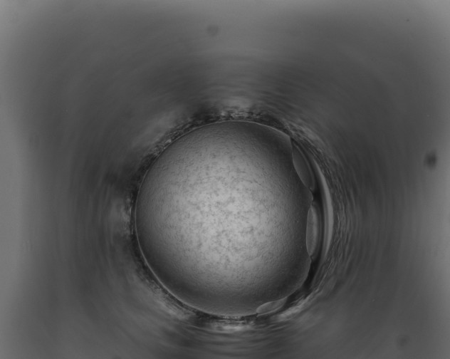 X0000089950661200707061121