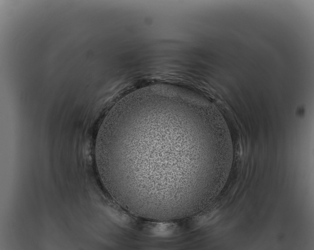 X0000089950663200707061121