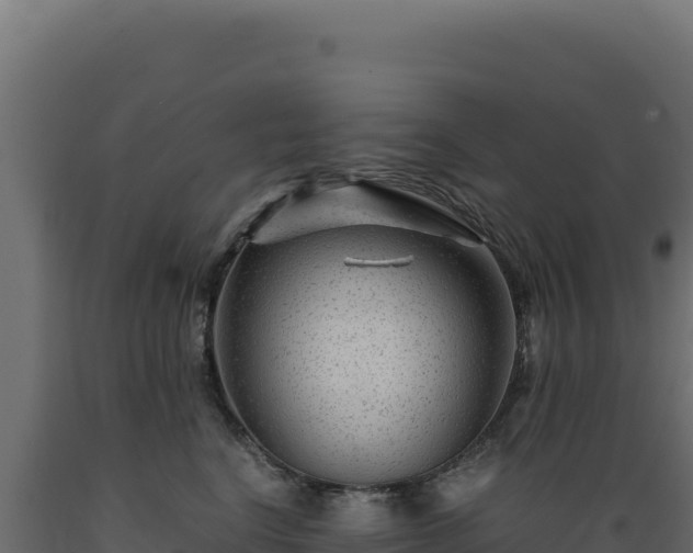 X0000089950664200707061121