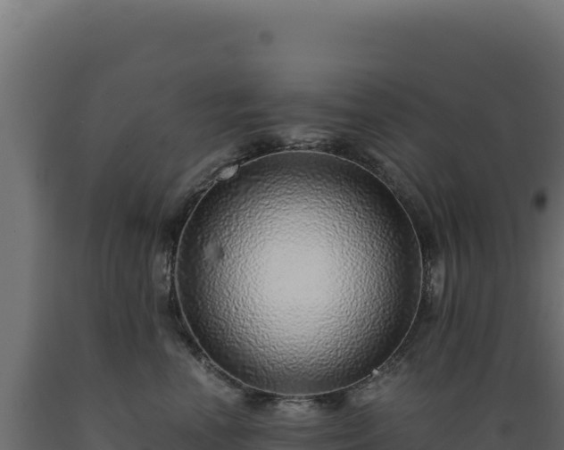 X0000089950666200707061121