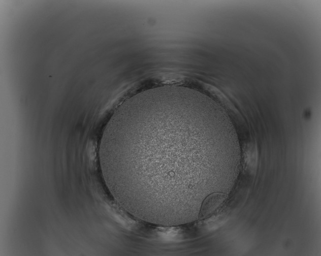 X0000089950667200707061121