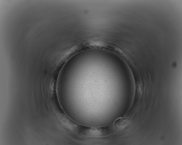 X0000089950668200707061121