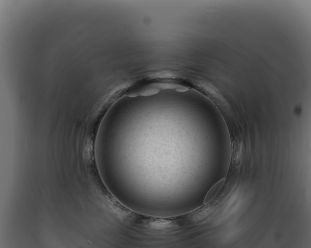 X0000089950669200707061121