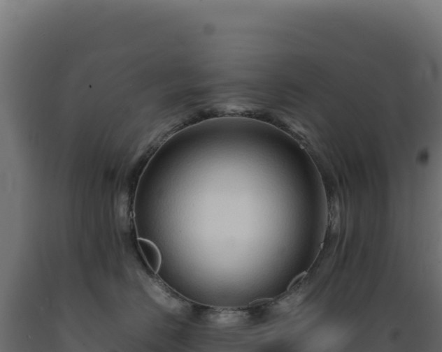 X0000089950670200707061121