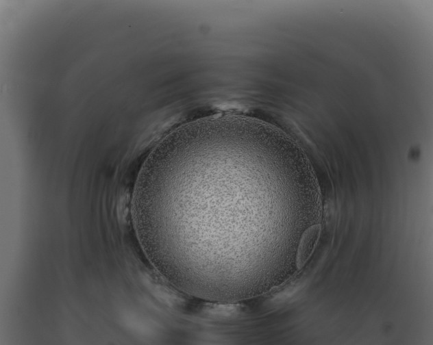 X0000089950671200707061122