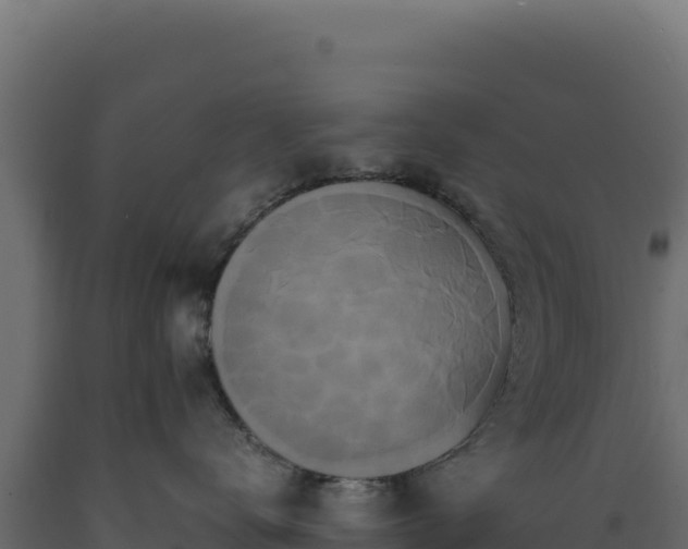 X0000089950672200707061122