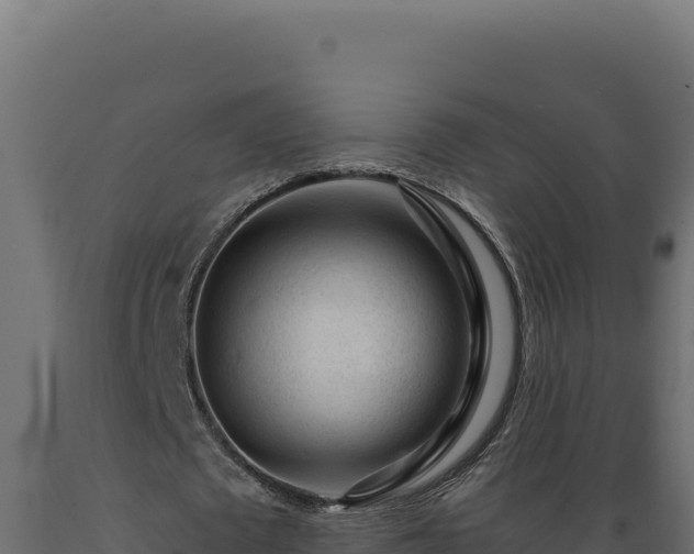 X0000089950673200707061121