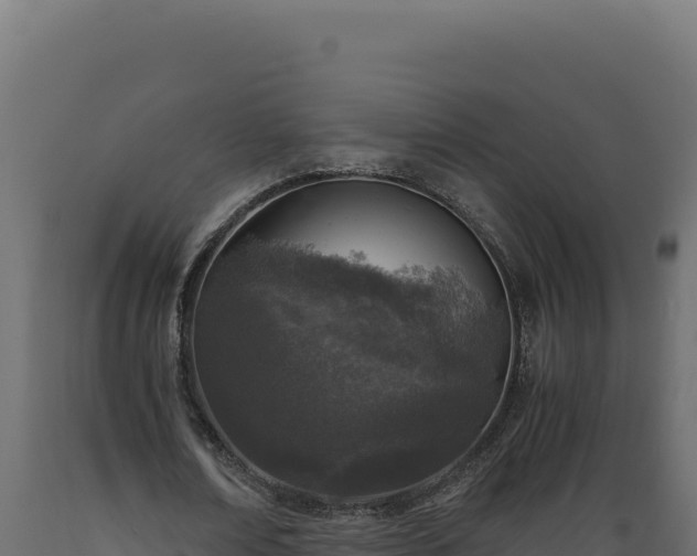 X0000089950674200707061121