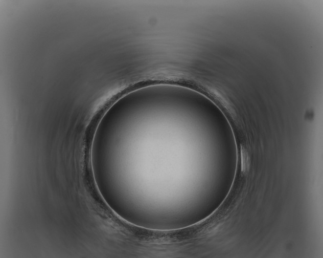X0000089950675200707061121