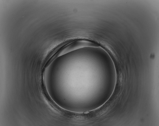 X0000089950677200707061121