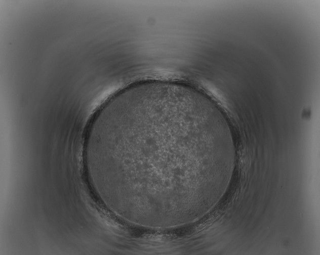 X0000089950679200707061121