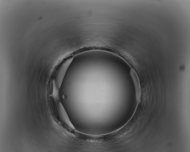 X0000089950680200707061121