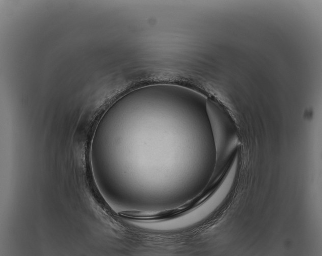 X0000089950681200707061121