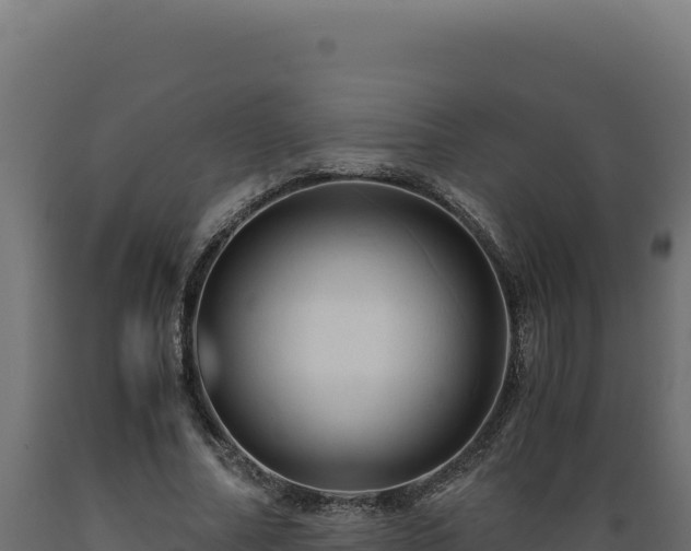 X0000089950682200707061121