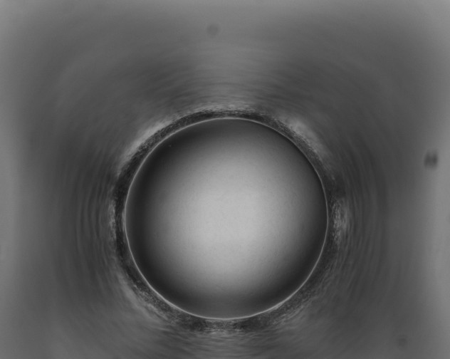 X0000089950684200707061121