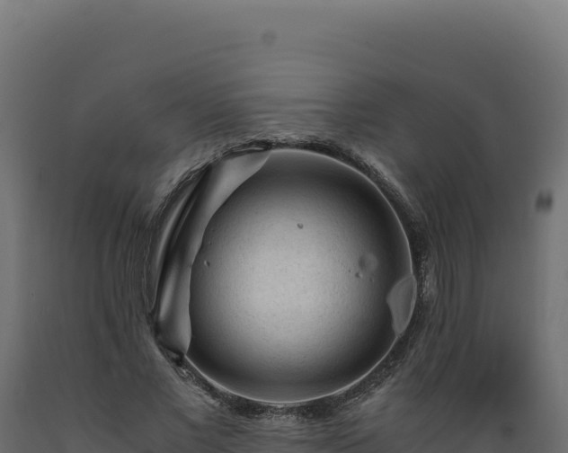 X0000089950685200707061121
