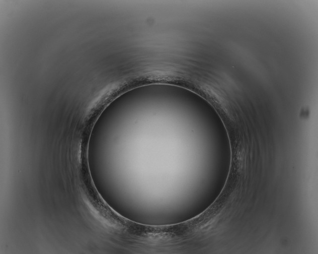X0000089950686200707061121
