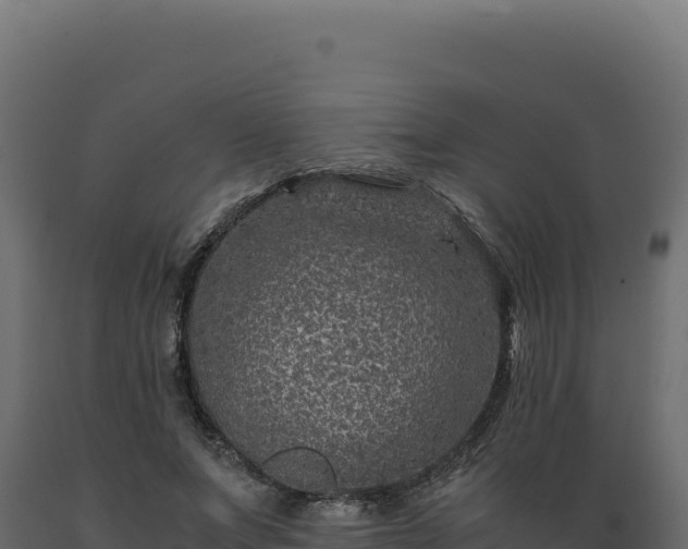 X0000089950687200707061121